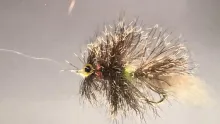 User submitted picture: Deer-All Fly swim test