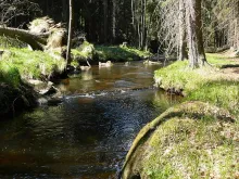 User submitted picture: Hamersky potok. Near bord...