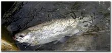 User submitted picture: nice rainbow on the strea...