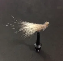 User submitted picture: The Badger is a dry fly. ...