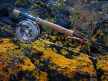 User submitted picture: If you can't catch fish,...