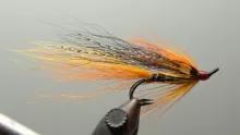 User submitted picture: Cascade Variant