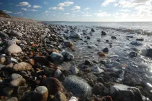 User submitted picture: A beach