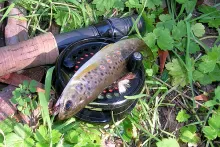 User submitted picture: Does size matter??  4" o...