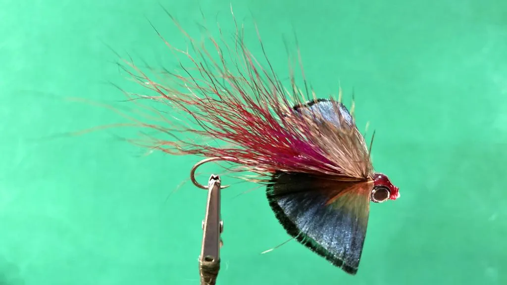 User submitted picture: Fluorescent Butterfly