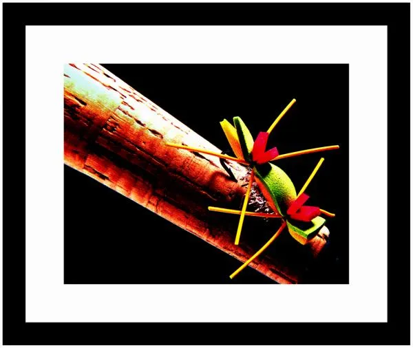 User submitted picture: Foam dry fly, Nikon F70