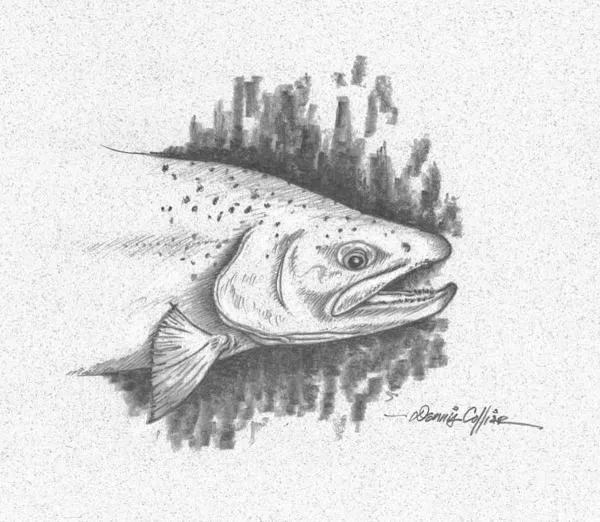 User submitted picture: North Platte Bow-bo. The ...