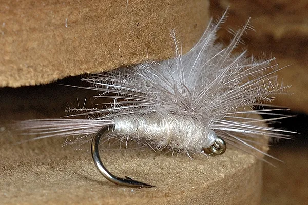 User submitted picture: amadou and CDC fly with m...